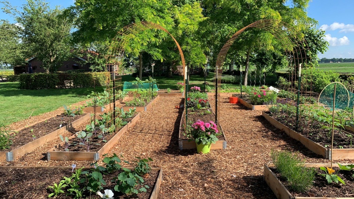 moestuinplanten